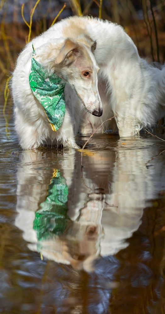 Photograph by Татьяна