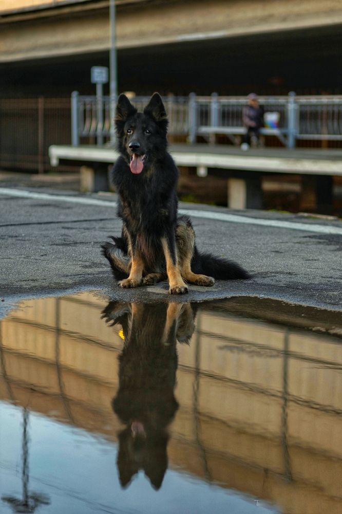 Photograph by Татьяна