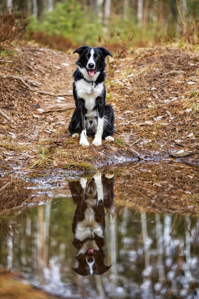 Photograph by Татьяна