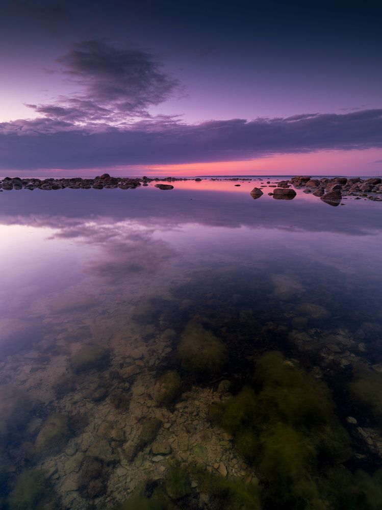 Фотография автора Pussa Vitaly