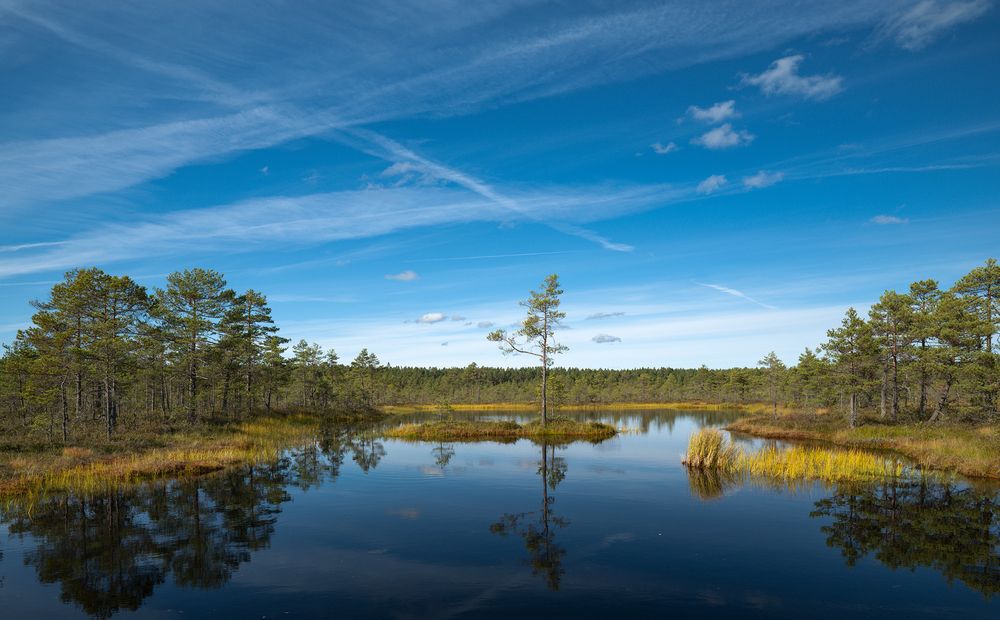 Фотография автора Pussa Vitaly