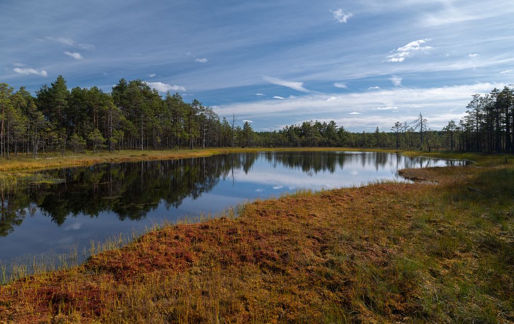 Фотография автора Pussa Vitaly