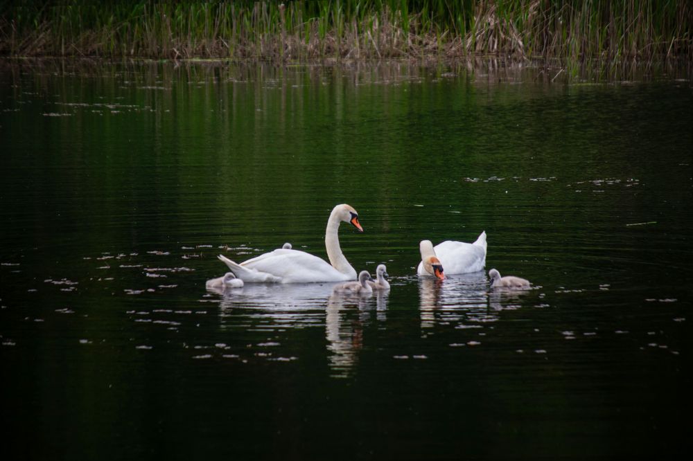 Photograph by Светлана Попкова