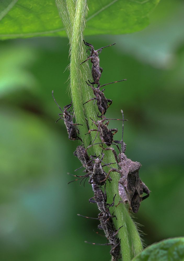 Фотография автора Dhananjay Thakur