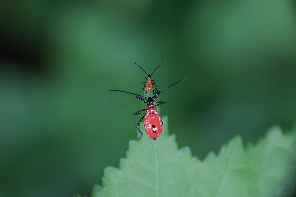 Фотография автора Dhananjay Thakur