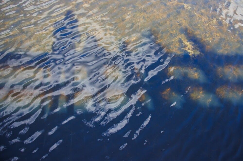 Photograph by Юлия Гольцман