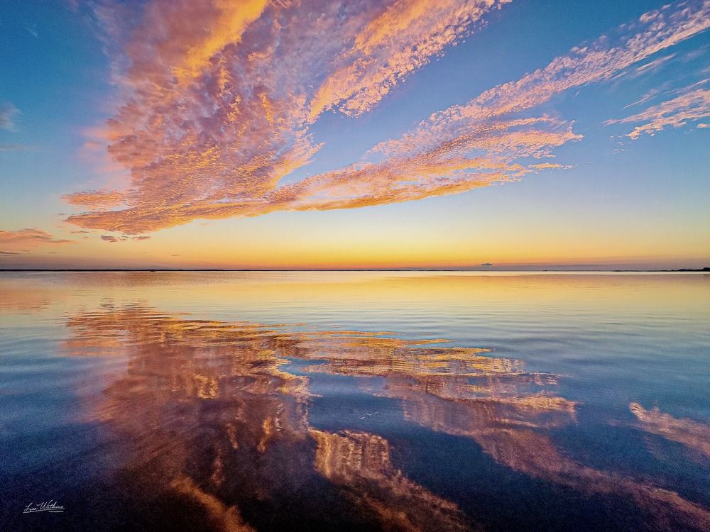 Photograph by Lisa Watkins