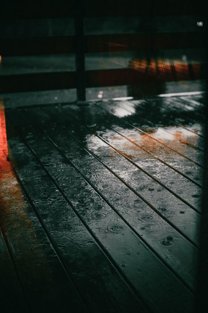 Фотография автора Антон Рыбчинский