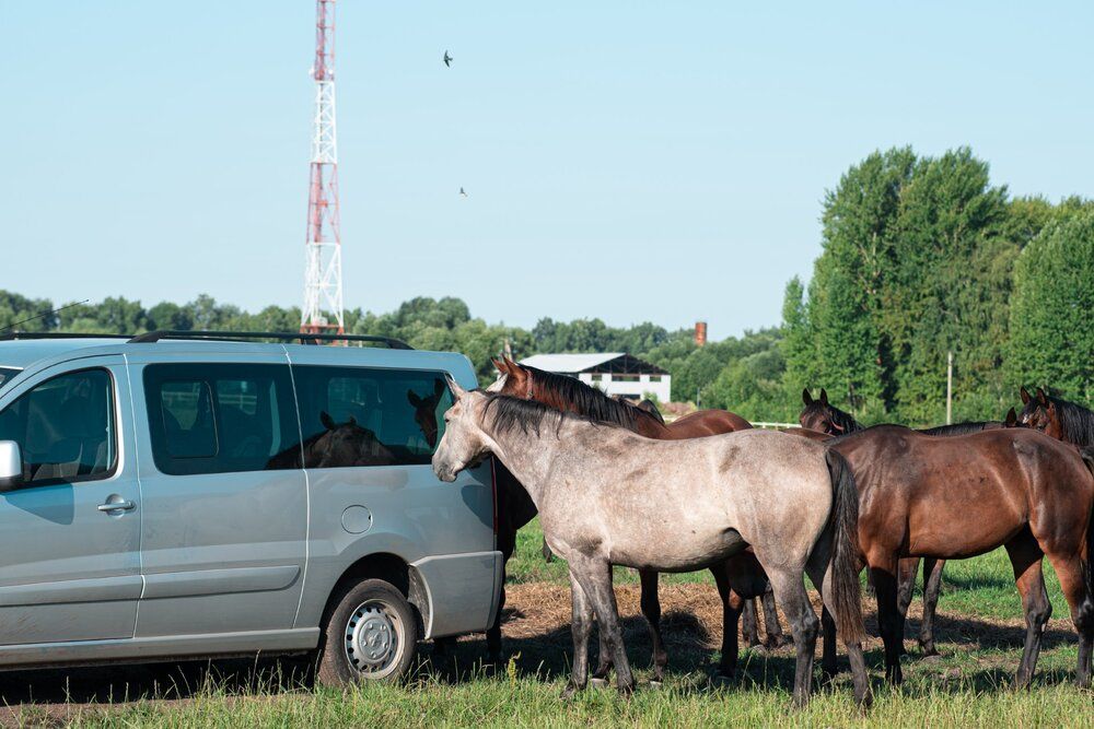 Photograph by наталья залогина
