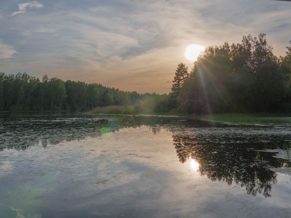 Фотография автора Антон Рыбчинский