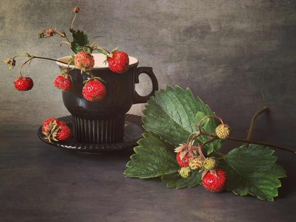 Photograph by Анна