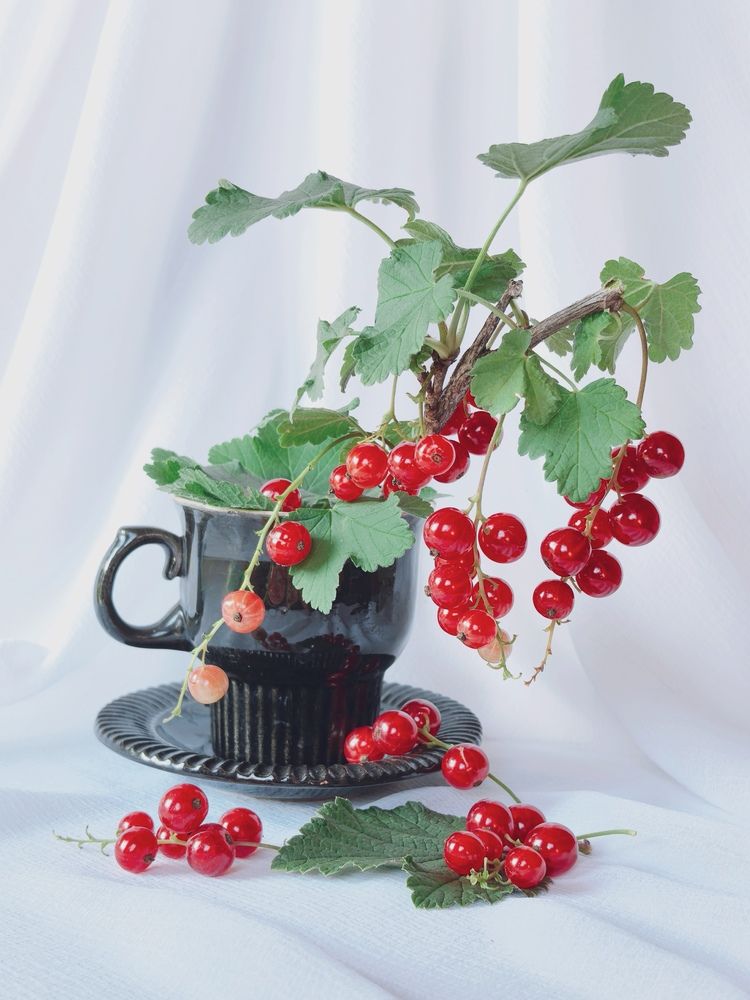 Photograph by Анна