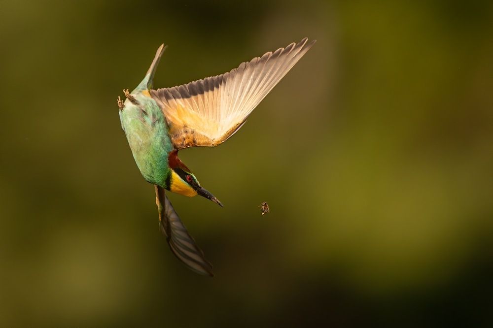 Photograph by Dariusz Dryl