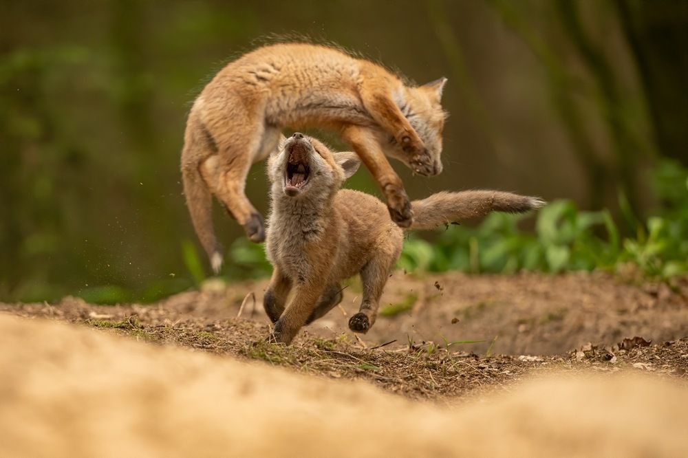 Photograph by Dariusz Dryl