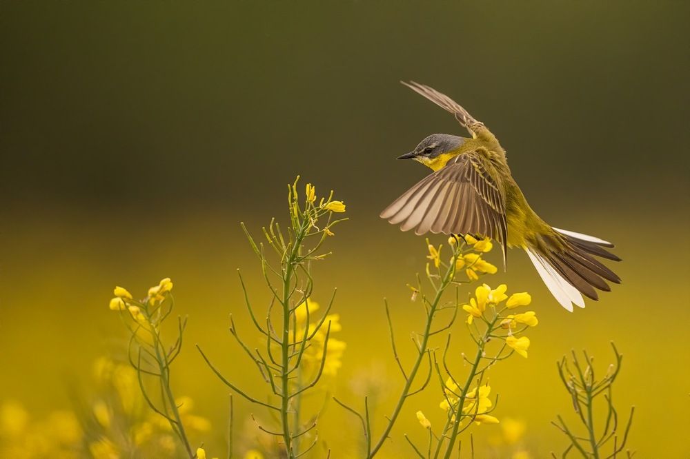 Photograph by Dariusz Dryl