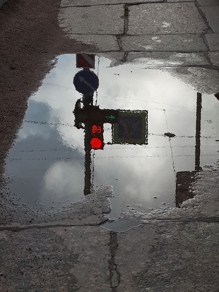 Photograph by Людмила Ковалева