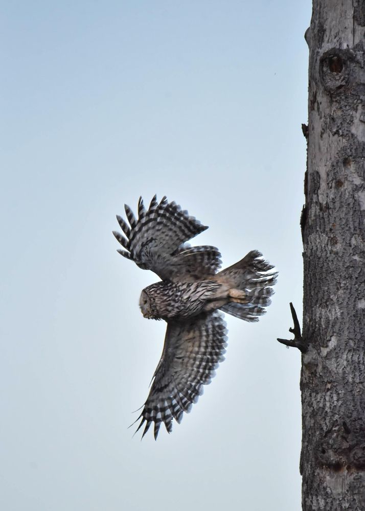 Photograph by Ljudmilla Pavljutsenkova