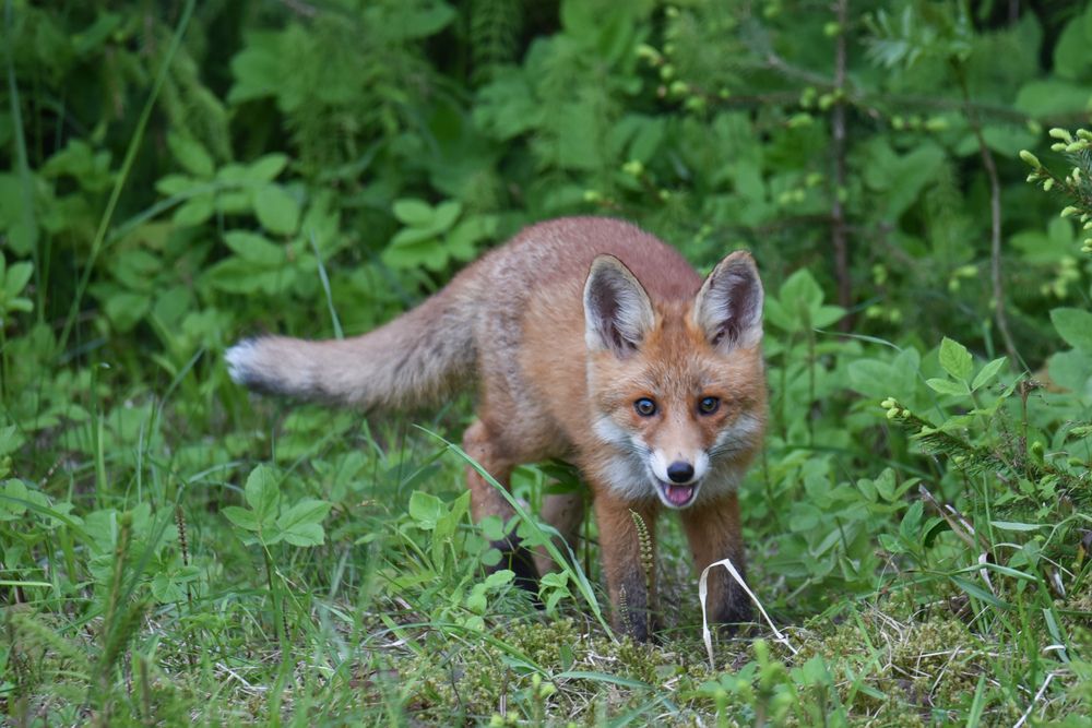 Photograph by Ljudmilla Pavljutsenkova