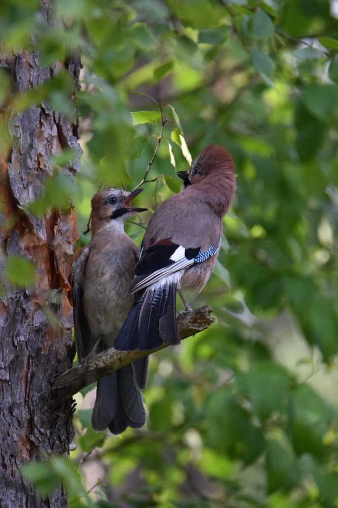 Photograph by Ljudmilla Pavljutsenkova