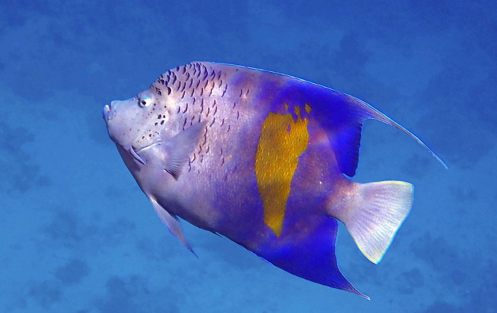 Photograph by Marjo Steffen