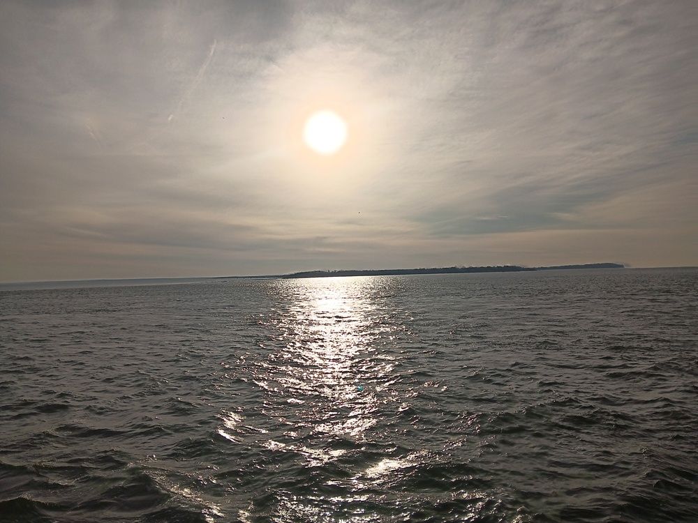 Photograph by Todd Gaudet
