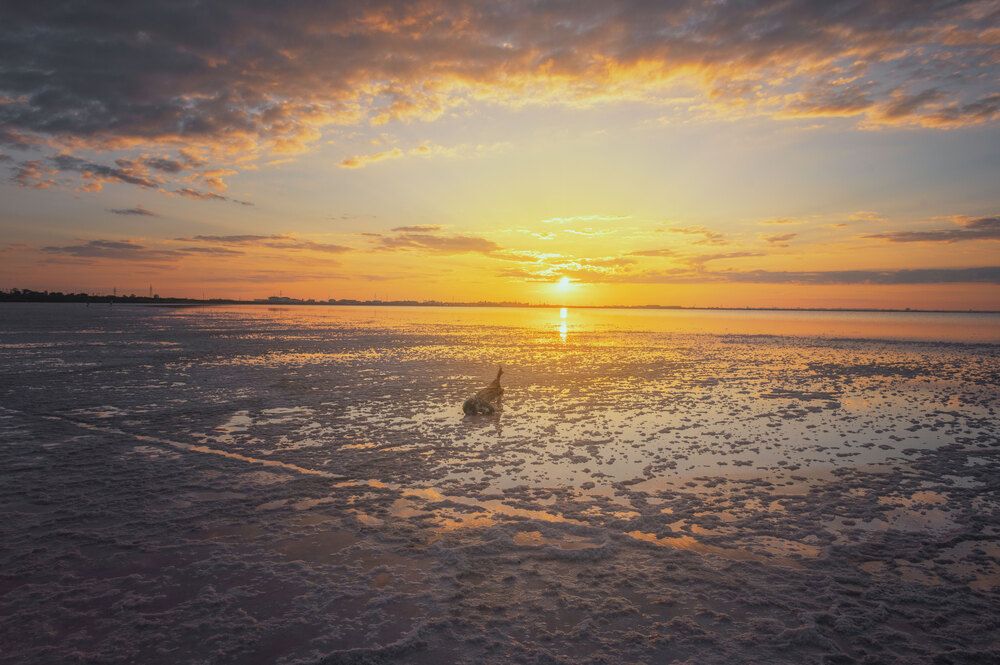 Photograph by Наталья Агеева