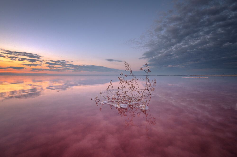 Photograph by Наталья Агеева