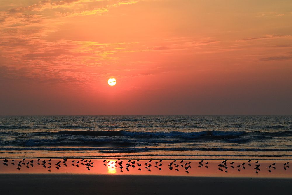 Photograph by Dhananjay Thakur