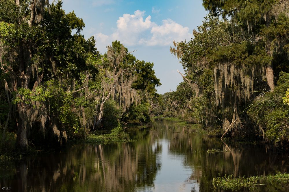 Фотография автора Loredana Sasso