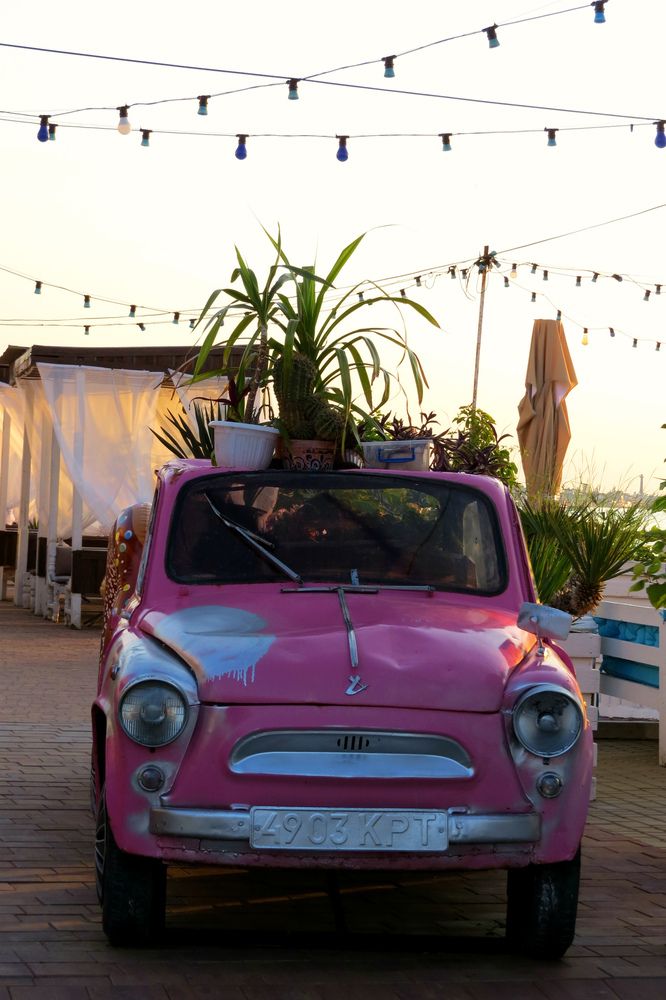 Photograph by Татьяна Стаскевич