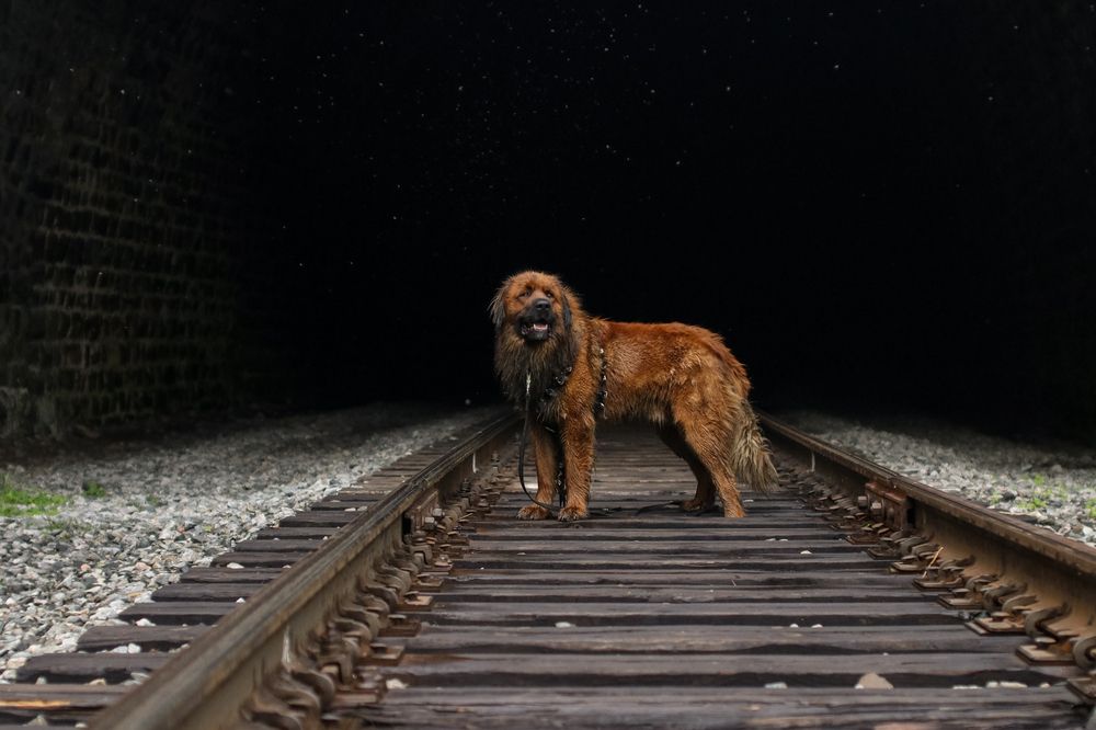 Photograph by Оля Пильвялене