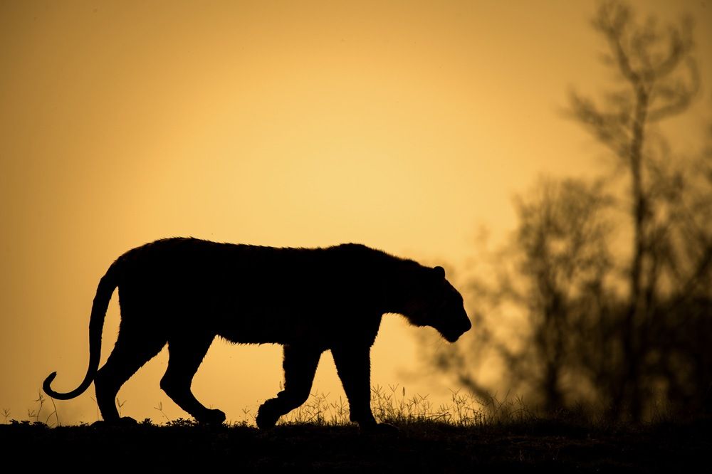 Photograph by Aryaman Dhiman