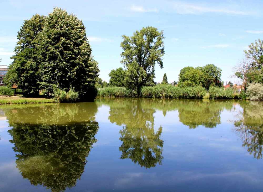 On the shore of a lake on the edge of town