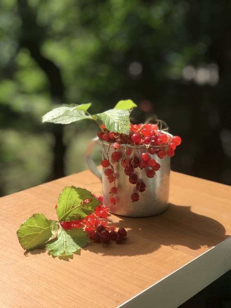 Photograph by Татьяна Шибанова