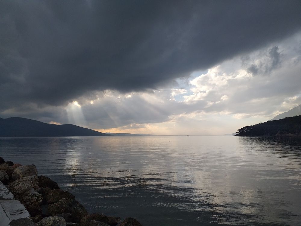Photo #12322455