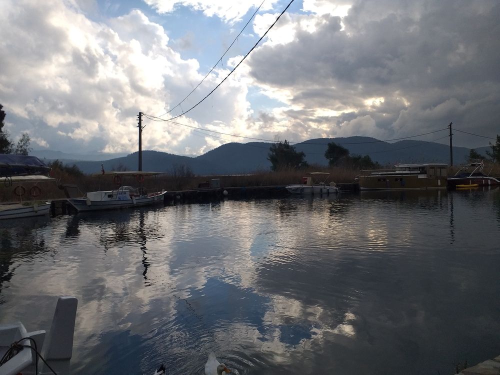 Photo #12322458