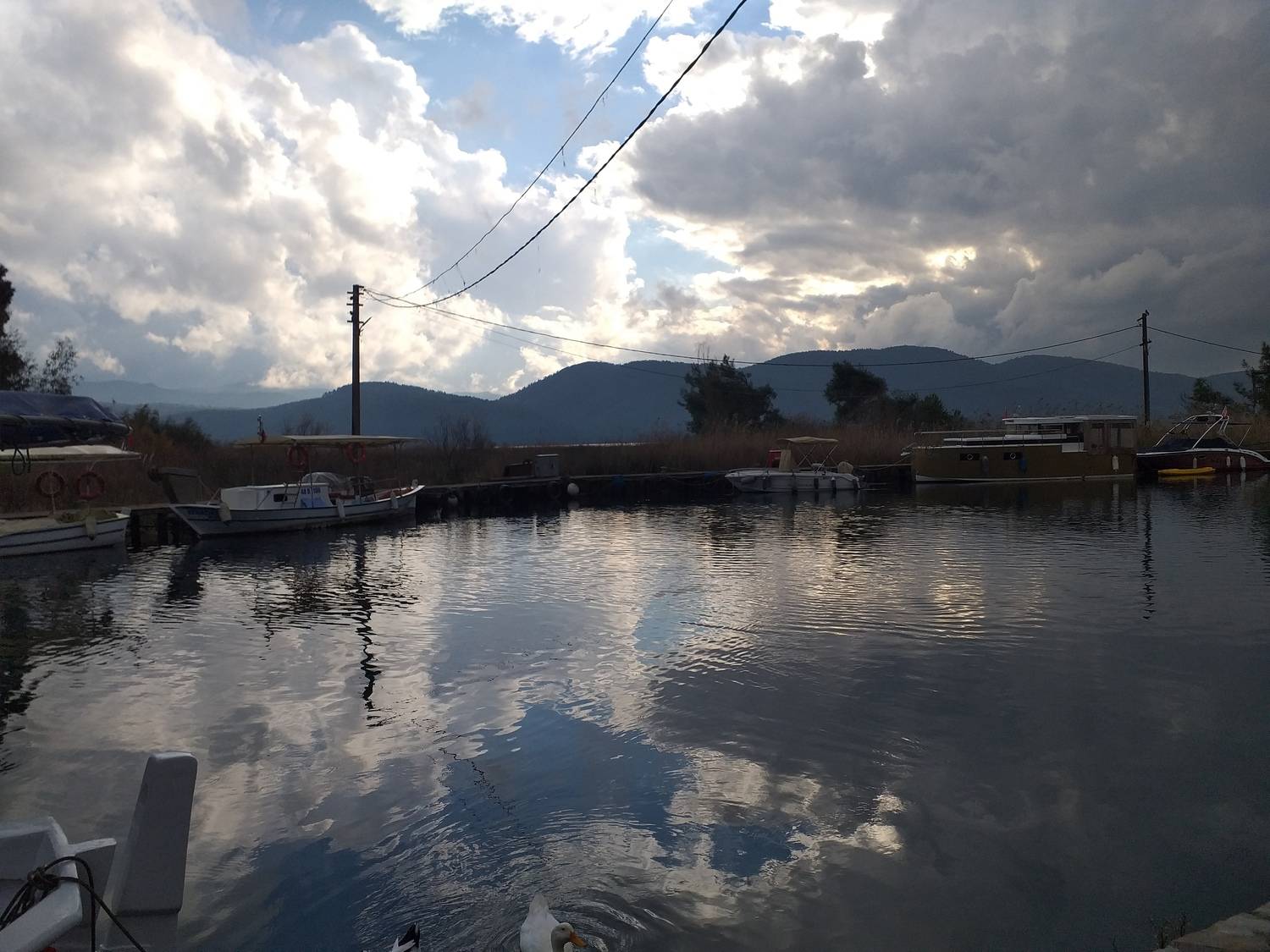 Photo #12322458