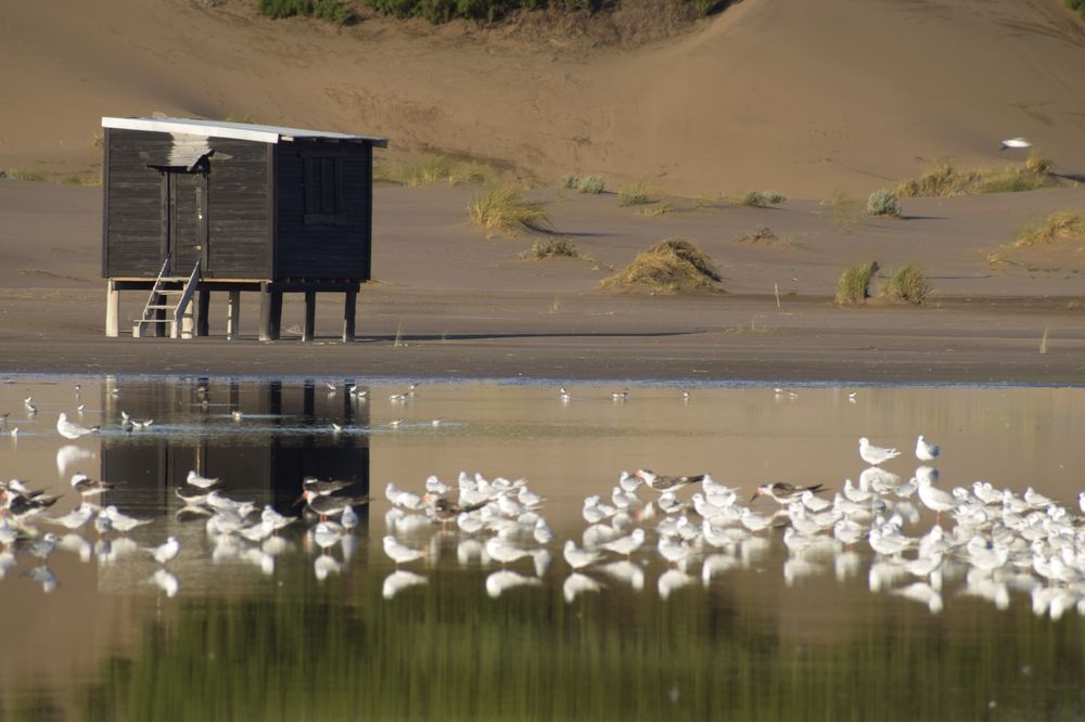 Photograph by José maria Giallombardo