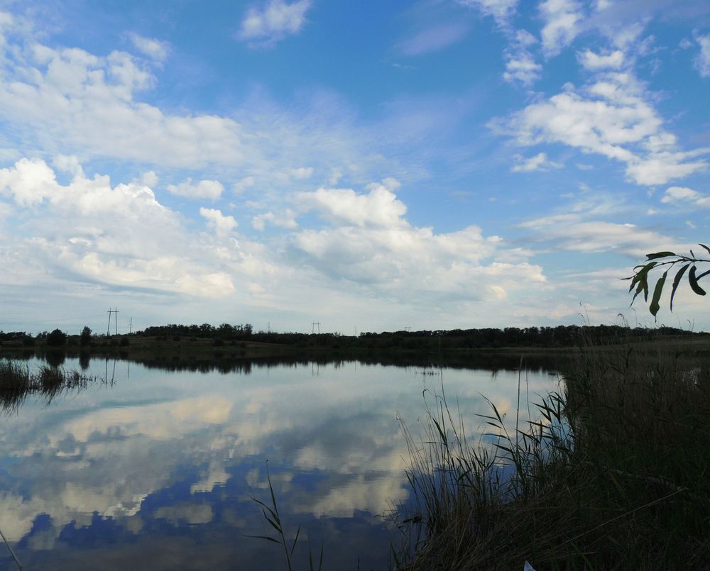 Photograph by Марина Романцова