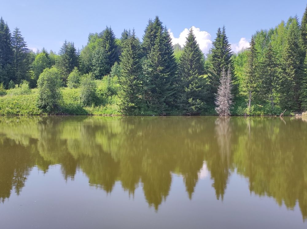 Photograph by Татьяна Никулина