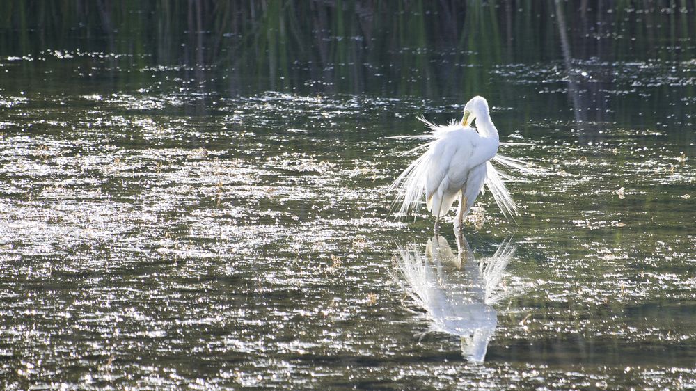 Photograph by Ирина Курьянова