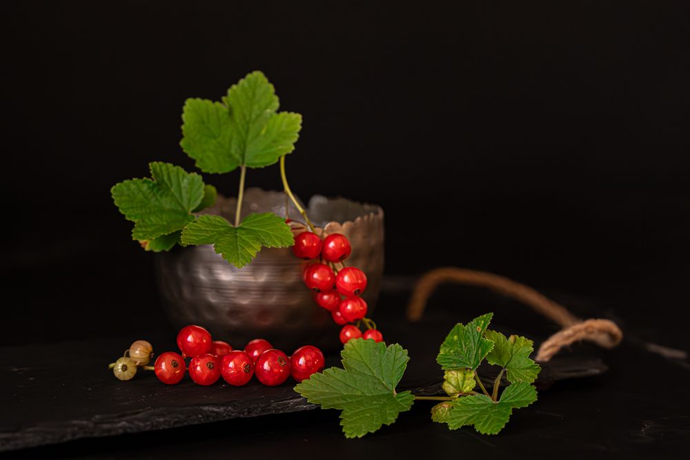 Photograph by Ирина Подгорная