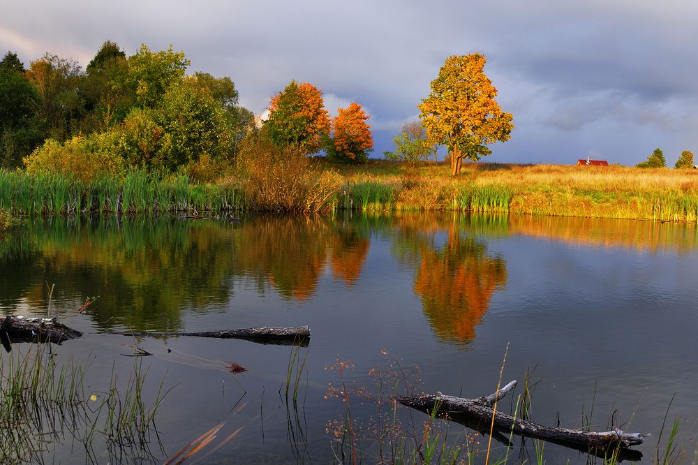 Photograph by Игорь Овсиенко