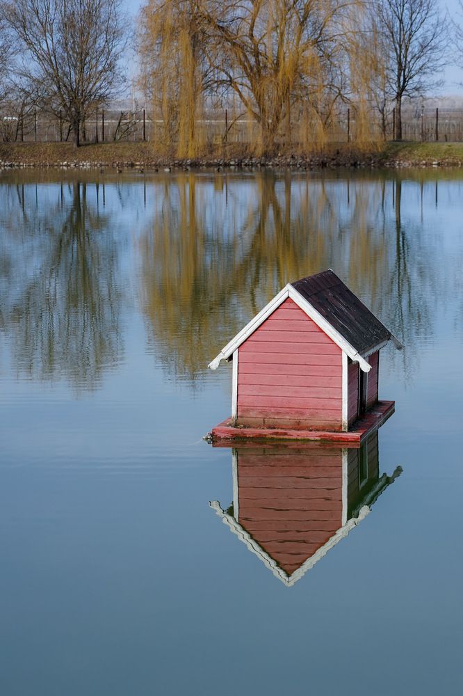Photograph by Магомедова Айшат