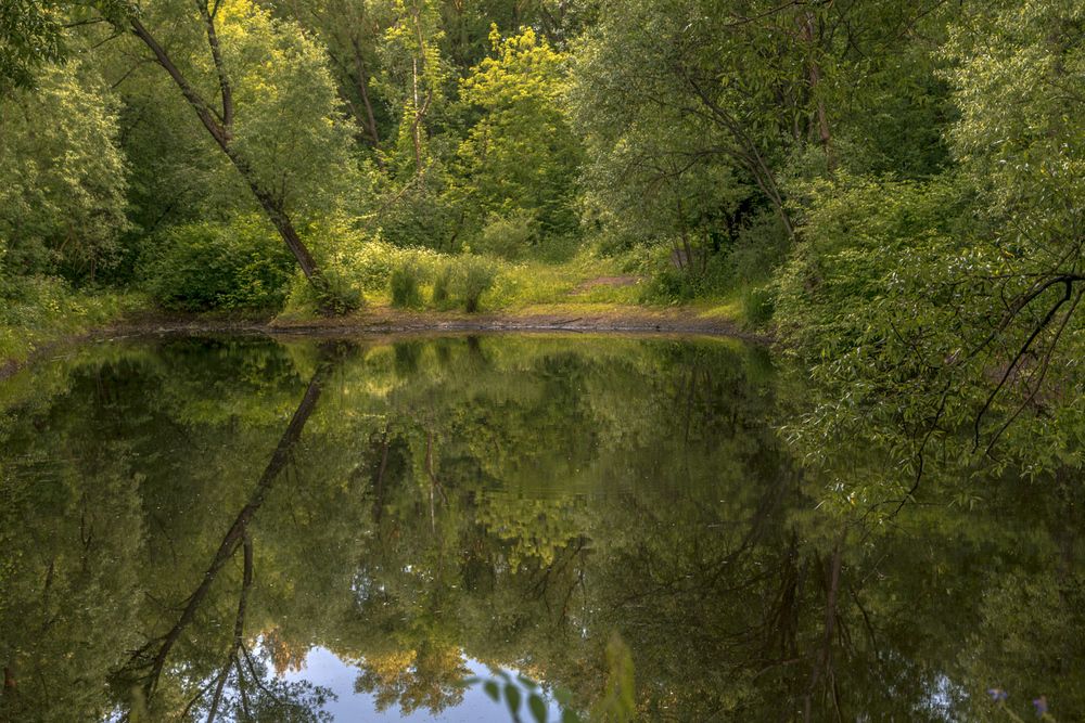 Photograph by Алексеев Сергей