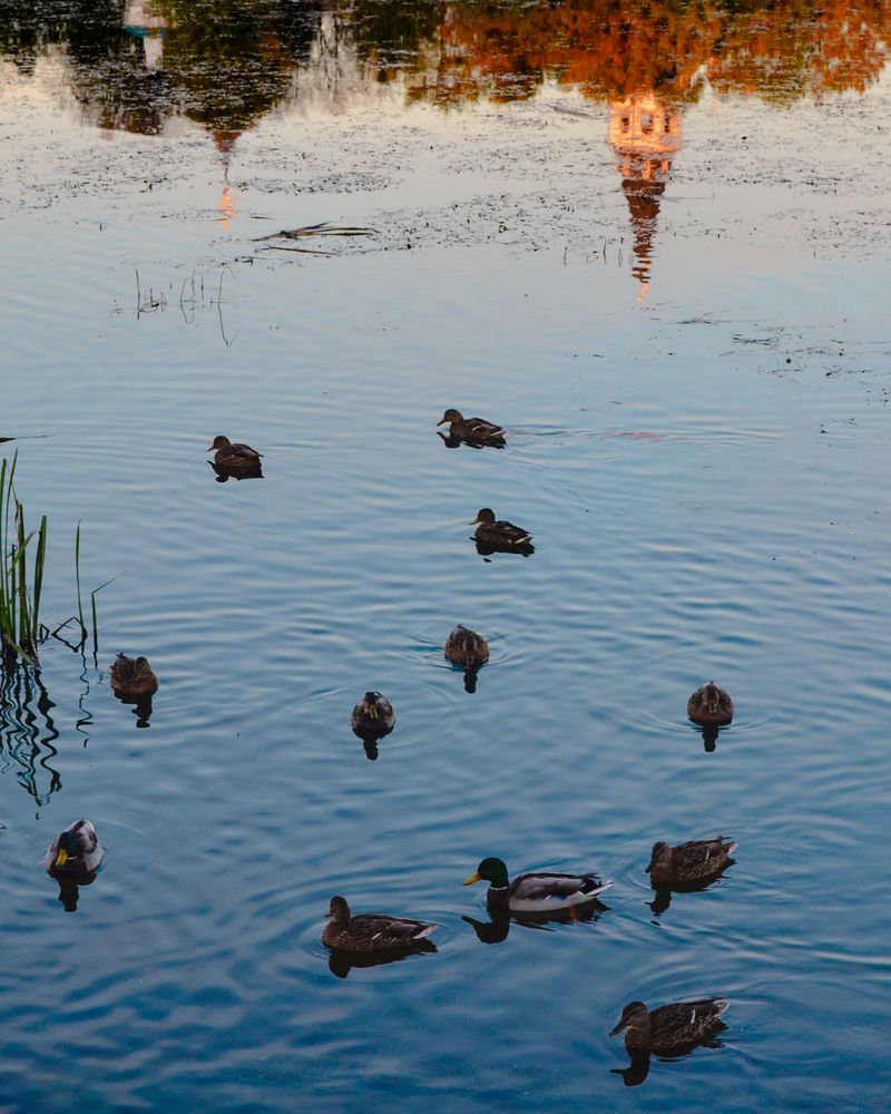 Photograph by Евгения Россоловская