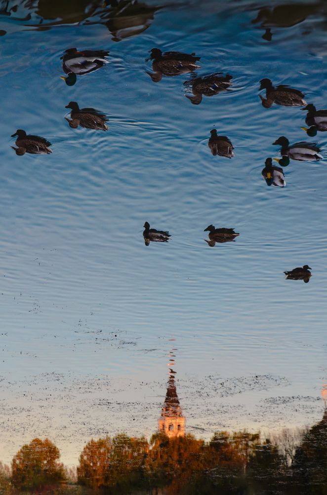 Photograph by Евгения Россоловская