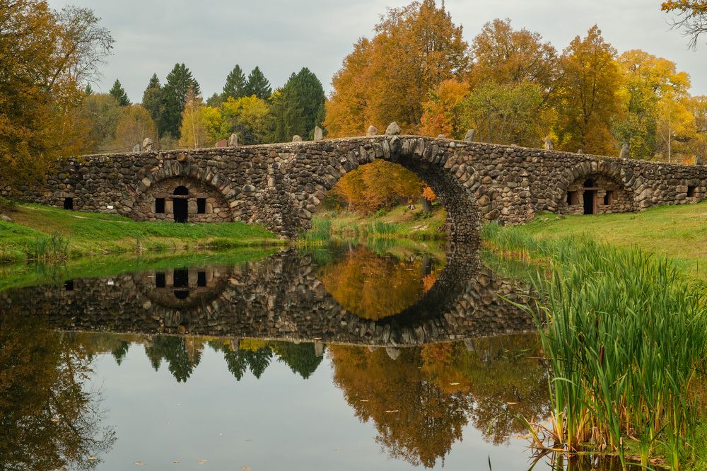 Фотография автора Наталья Липовская