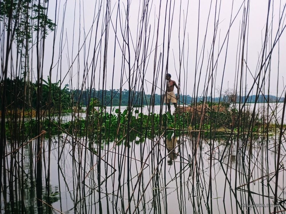 Photo #12322895
