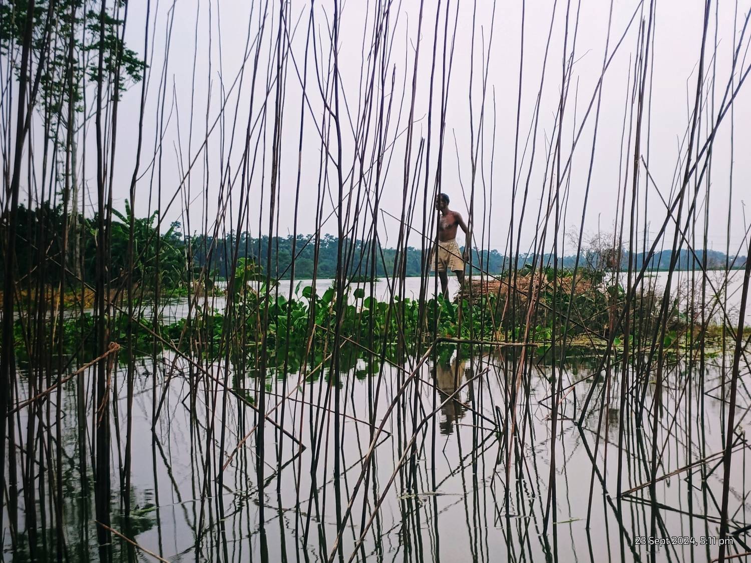 Photo #12322895